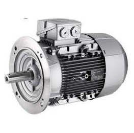 Motores Trifásicos